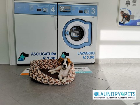 laundry4pets salerno