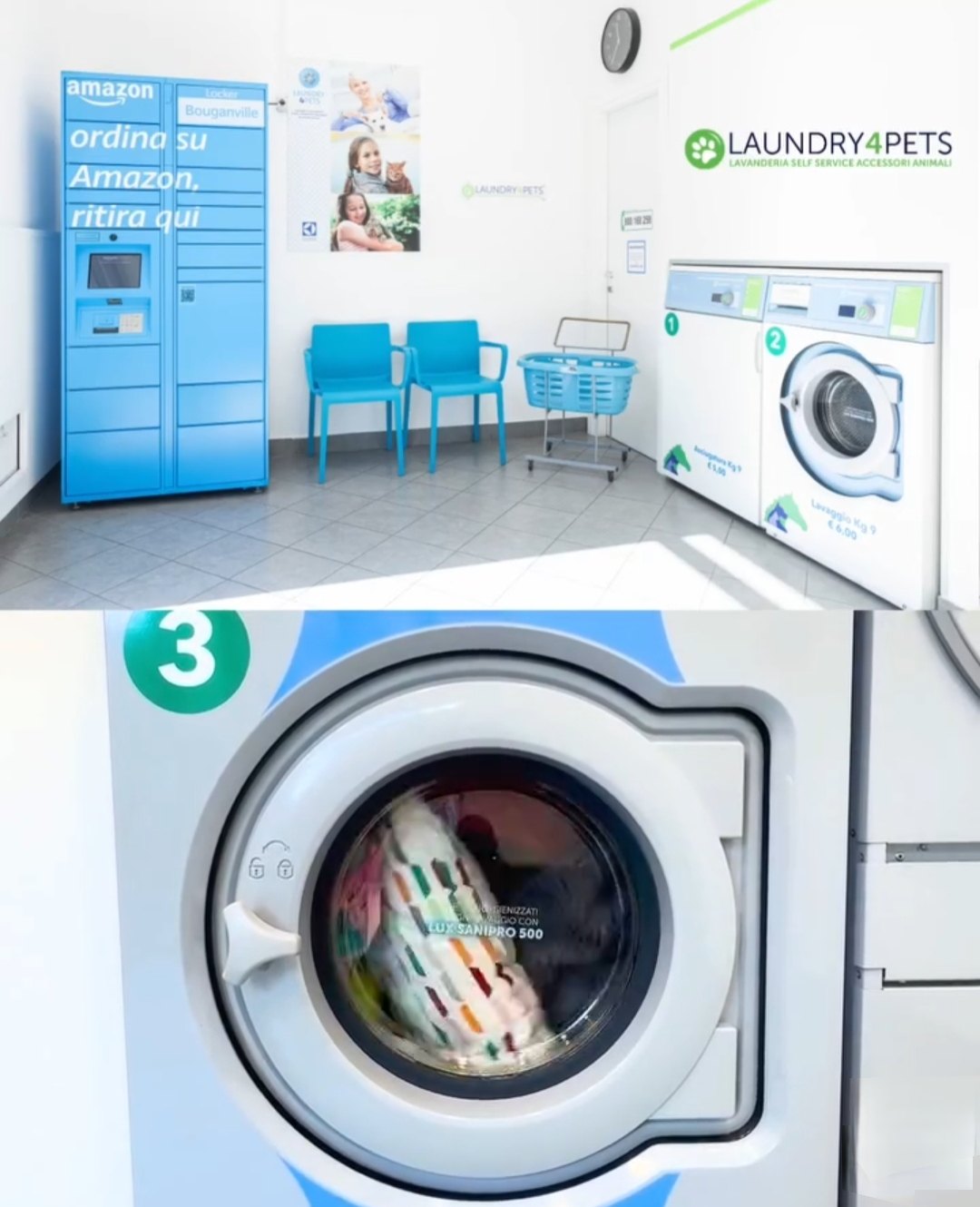 Inside Laundry4Pets Salerno